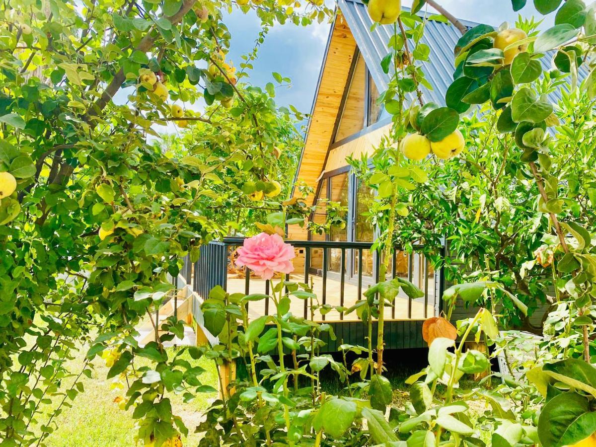 Garden Bungalow Antalya Ngoại thất bức ảnh